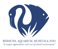 BermudaAquariumMuseumZoo.gif