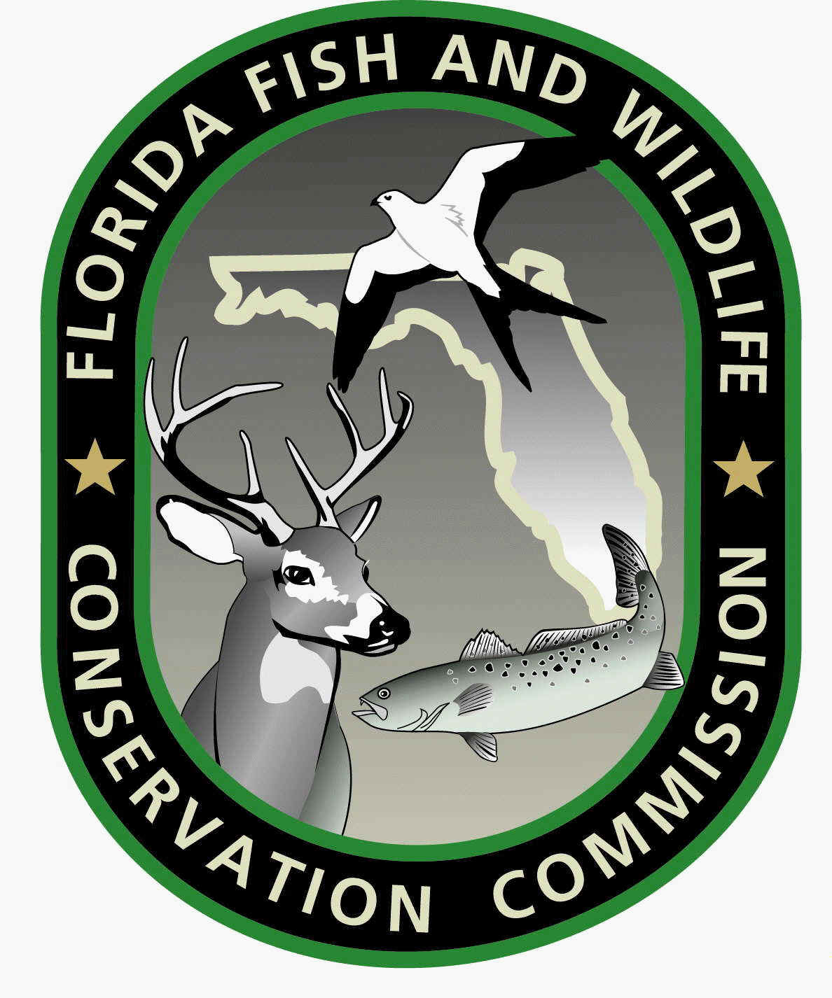 fwc-LOGO_1.jpg