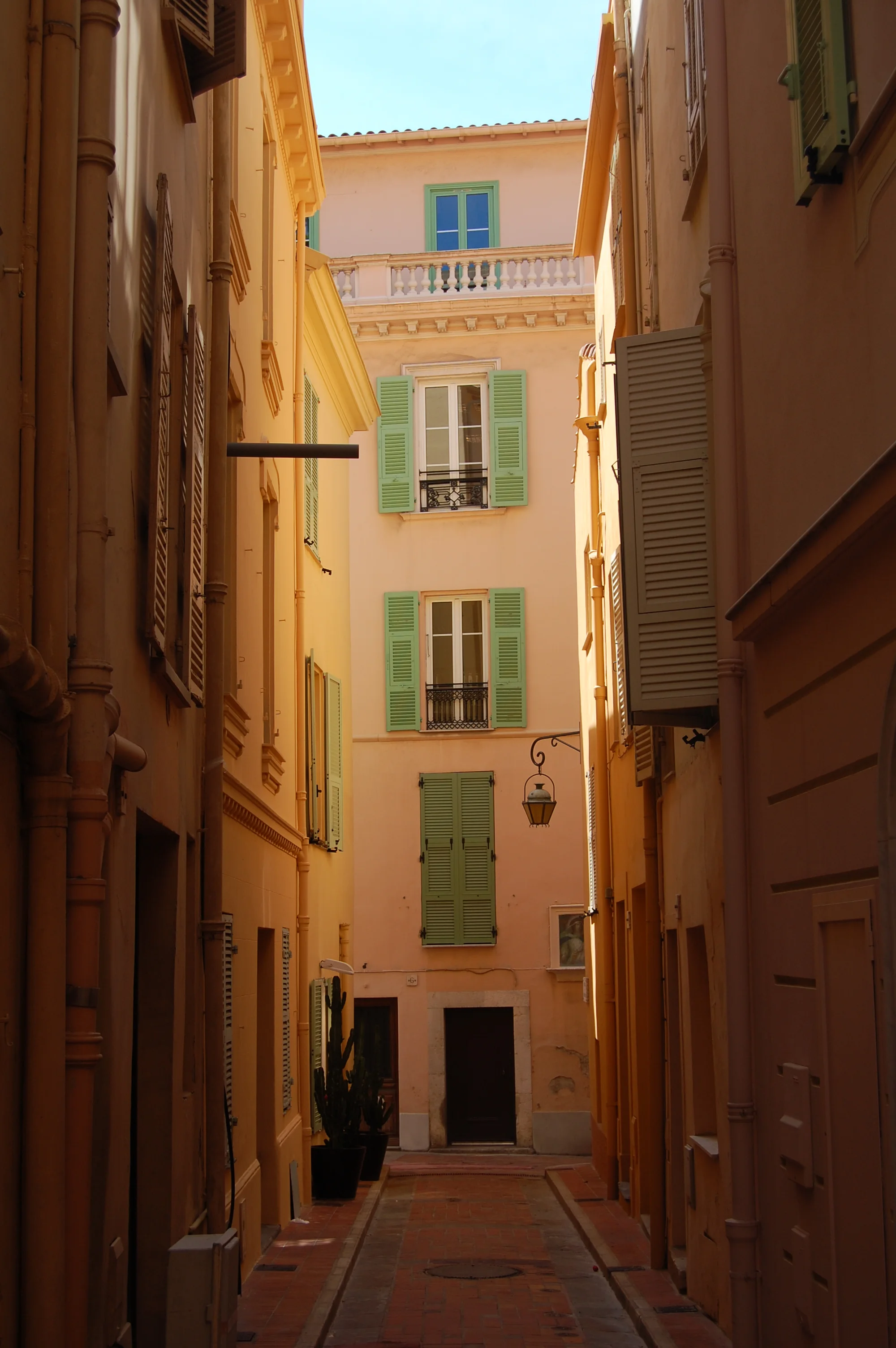 DSC_1866.JPG