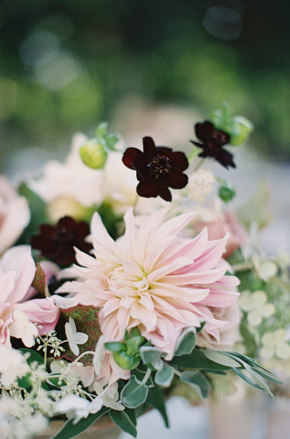 KDJ-Botanica-wedding-jen-huang-photo-dahlia-chocolate-cosmo.jpg