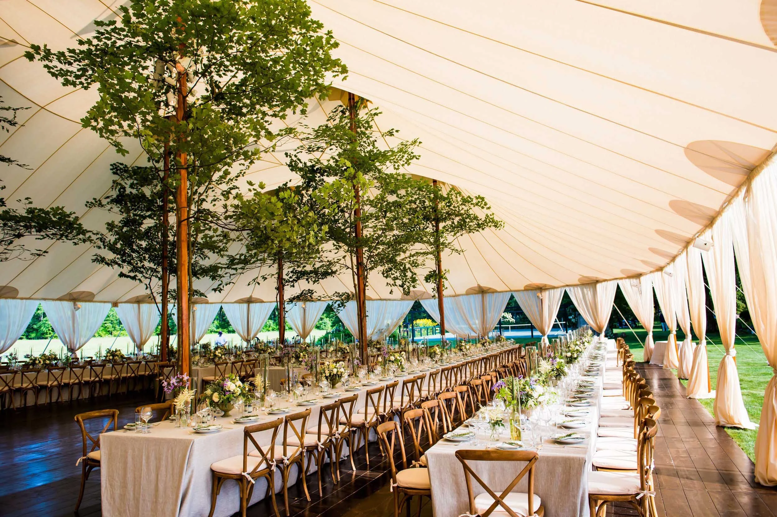 KDJ-Botanica-wedding-tent-design-trees.jpg