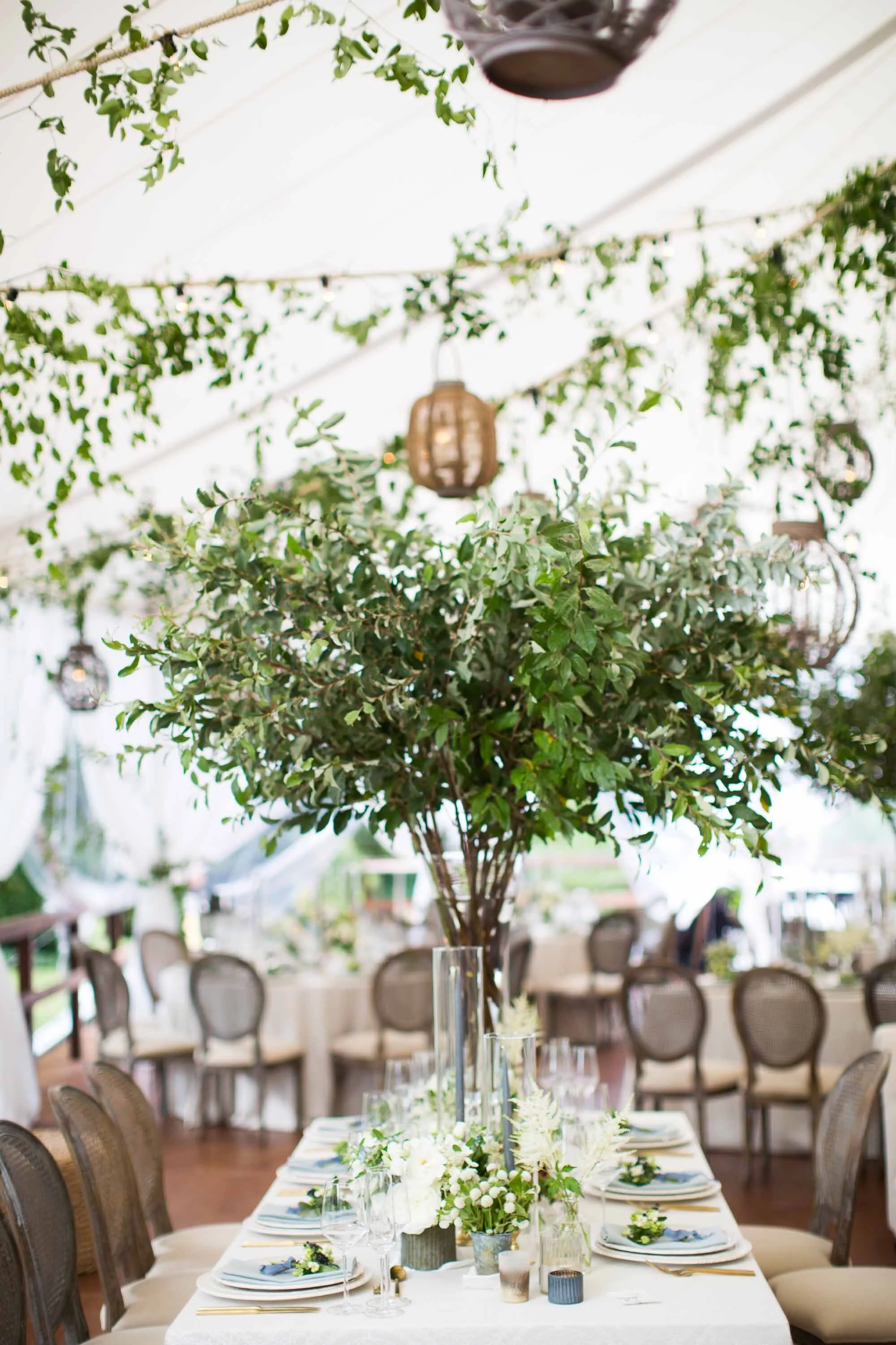 KDJ-botanica-connecticut-tented-backyard-wedding.jpg