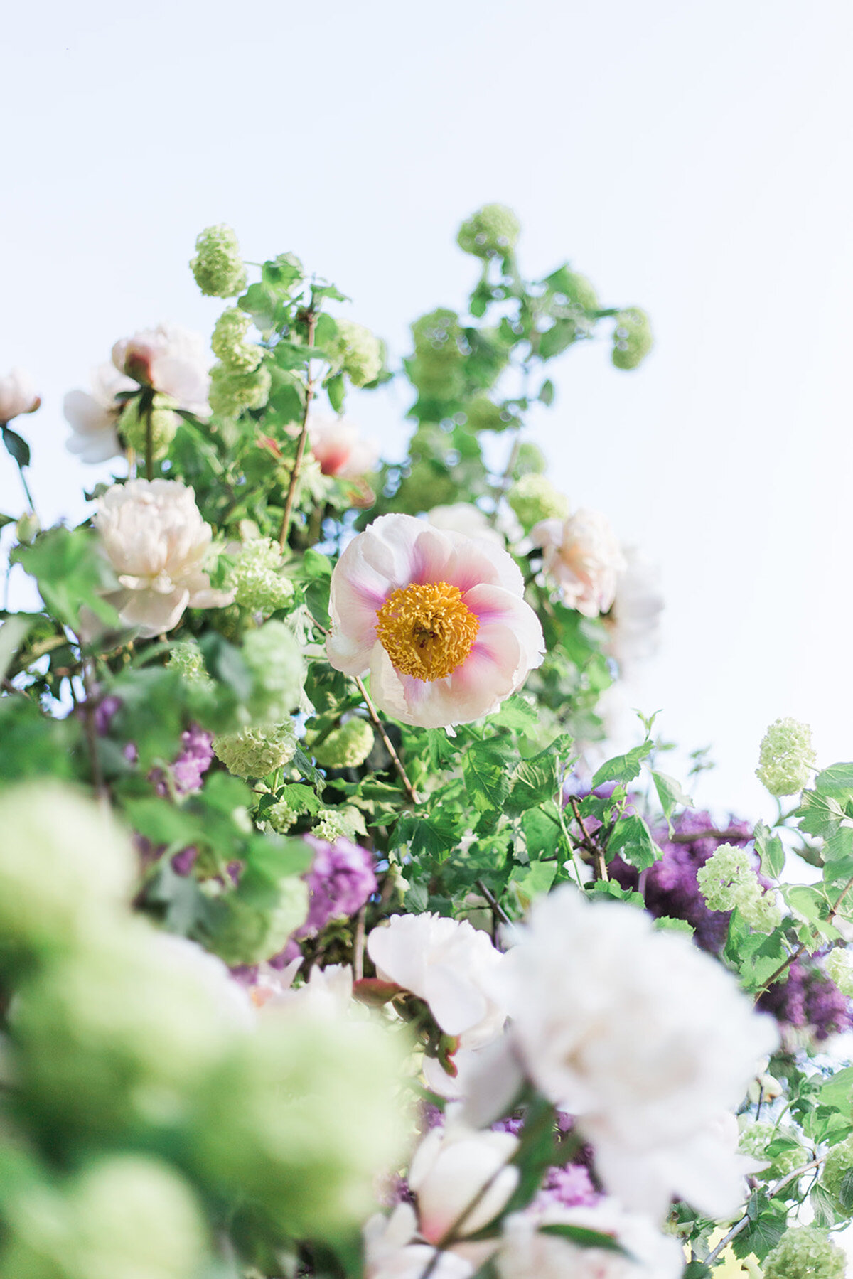 kdj-botanica-Spring-tented-wedding16.jpg