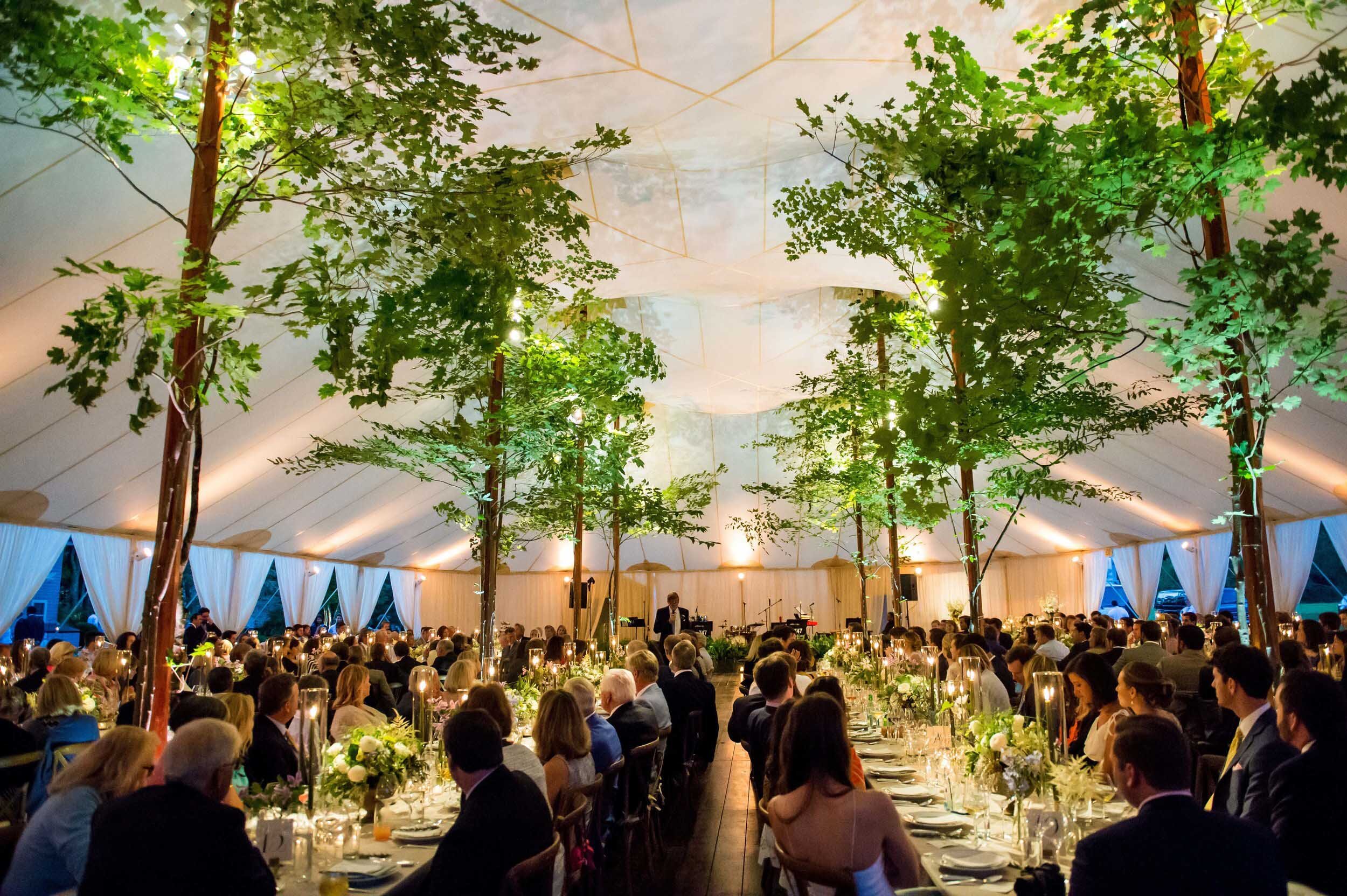 kdj-botanica-wedding-recpetion-trees-in-tent.jpg