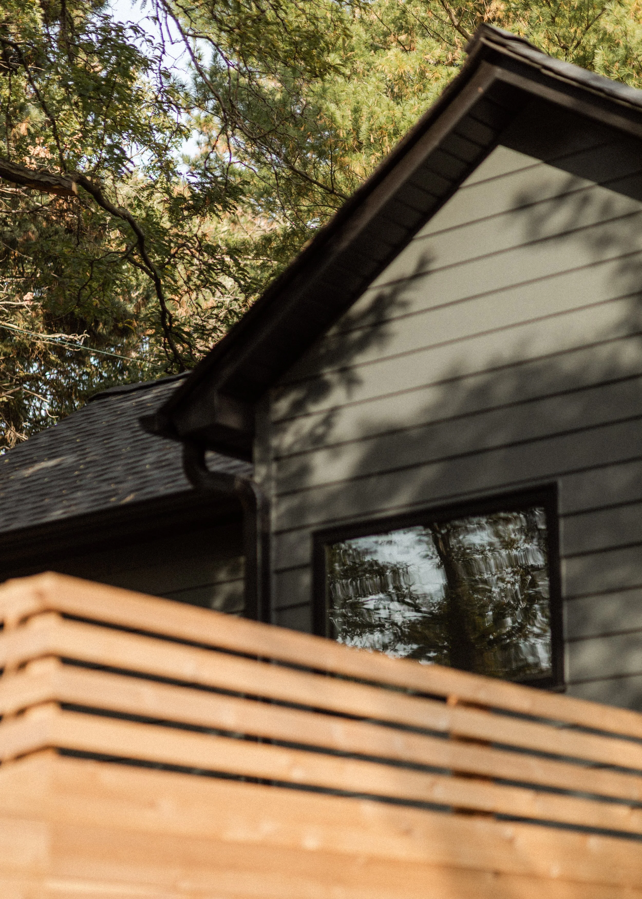 The photo shows the angle of the corner of a house with dark siding and a window reflecting trees, with a roof that has asphalt shingles, and a background of greenery and tree branches.