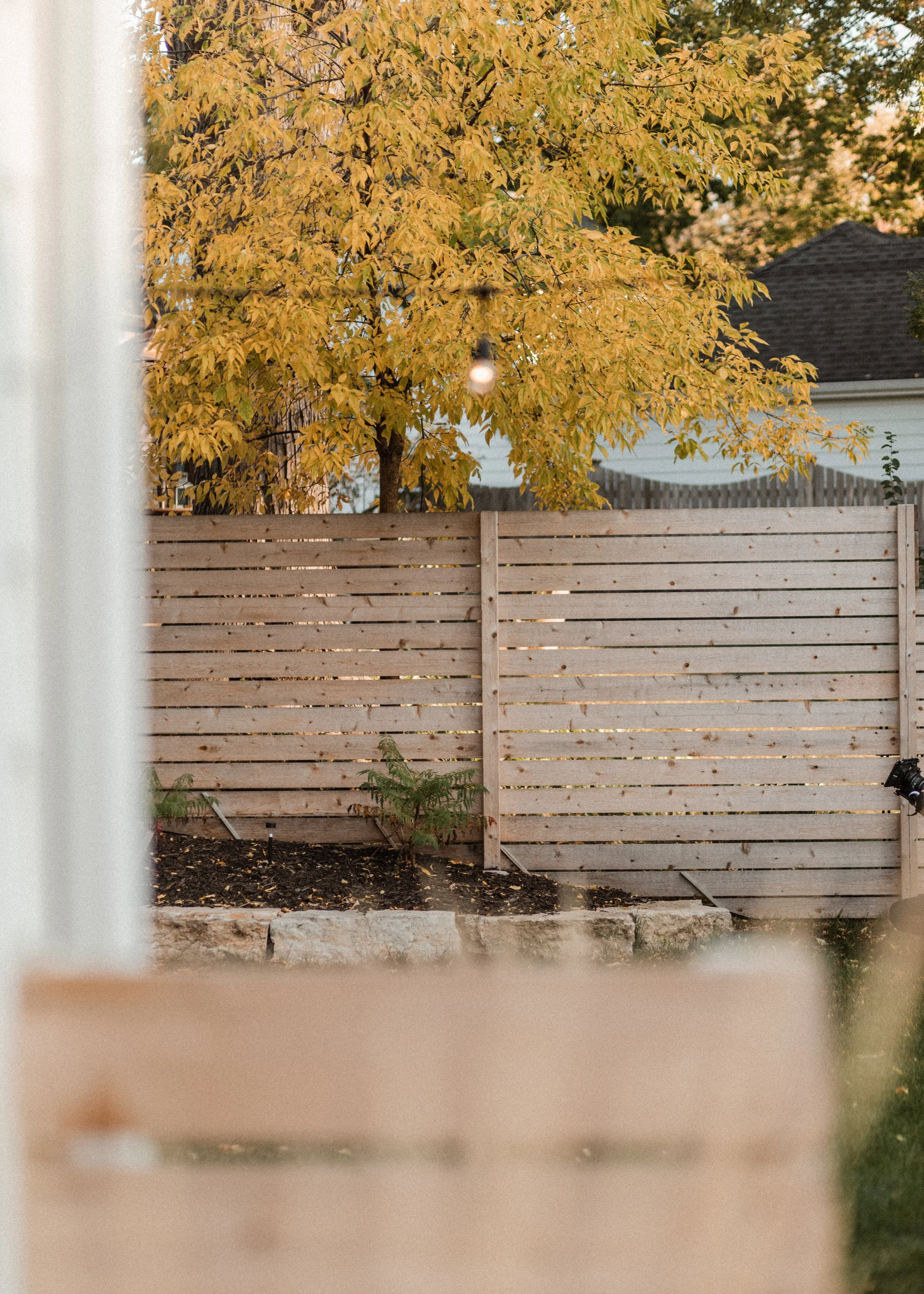View of a backyard with a wooden fence, a tree with yellow leaves, and parts of neighboring houses. The image appears to be taken through a partially open window or door, with some foreground elements blurred.