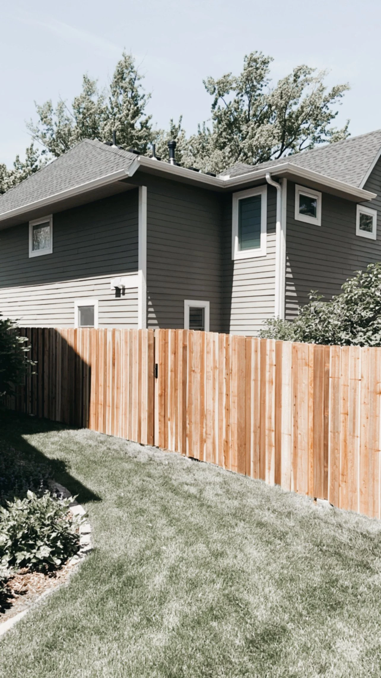 Privacy Fence.JPG