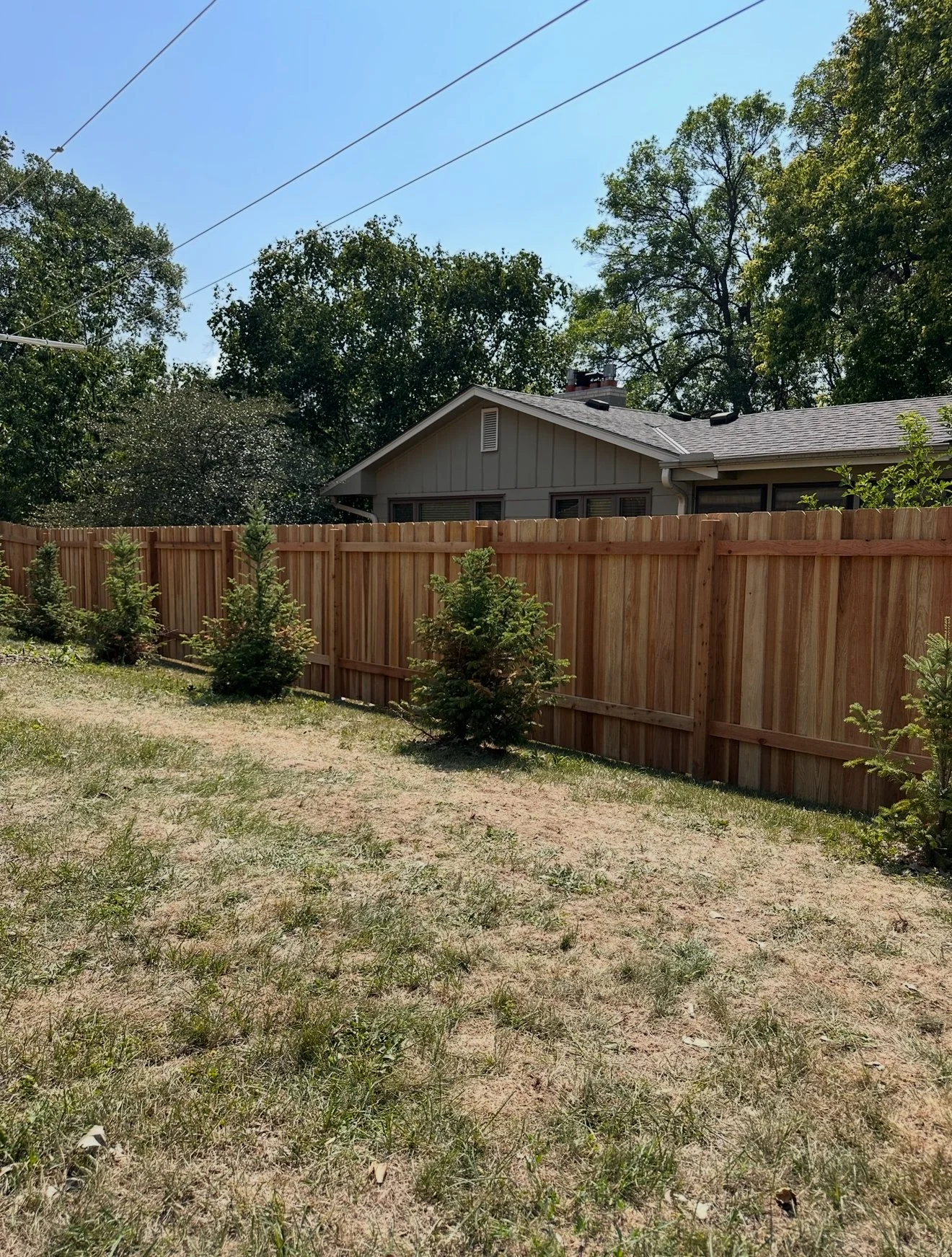 Privacy Fence (Inside).jpeg