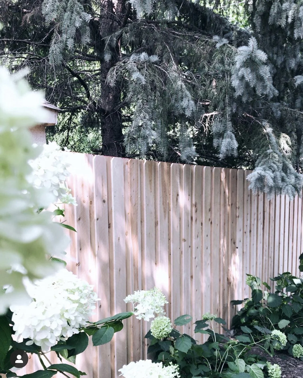 Privacy Fence.jpg