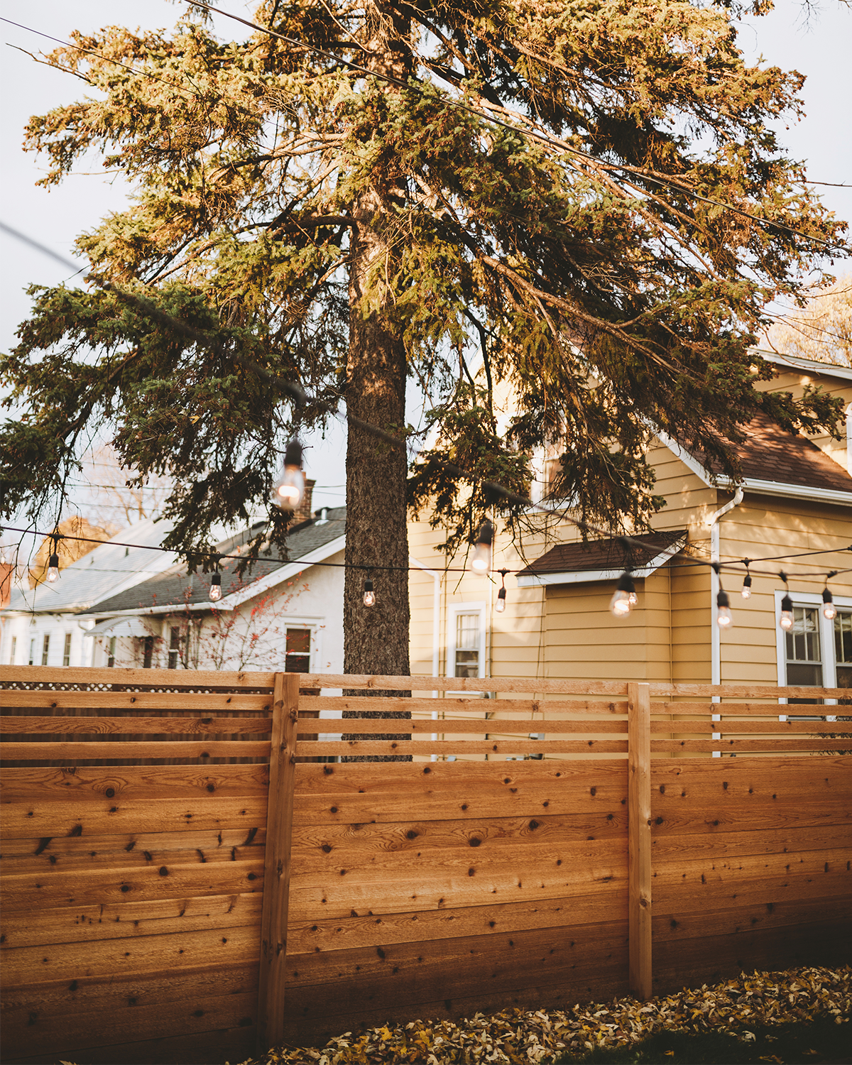 CEDAR VS STEEL