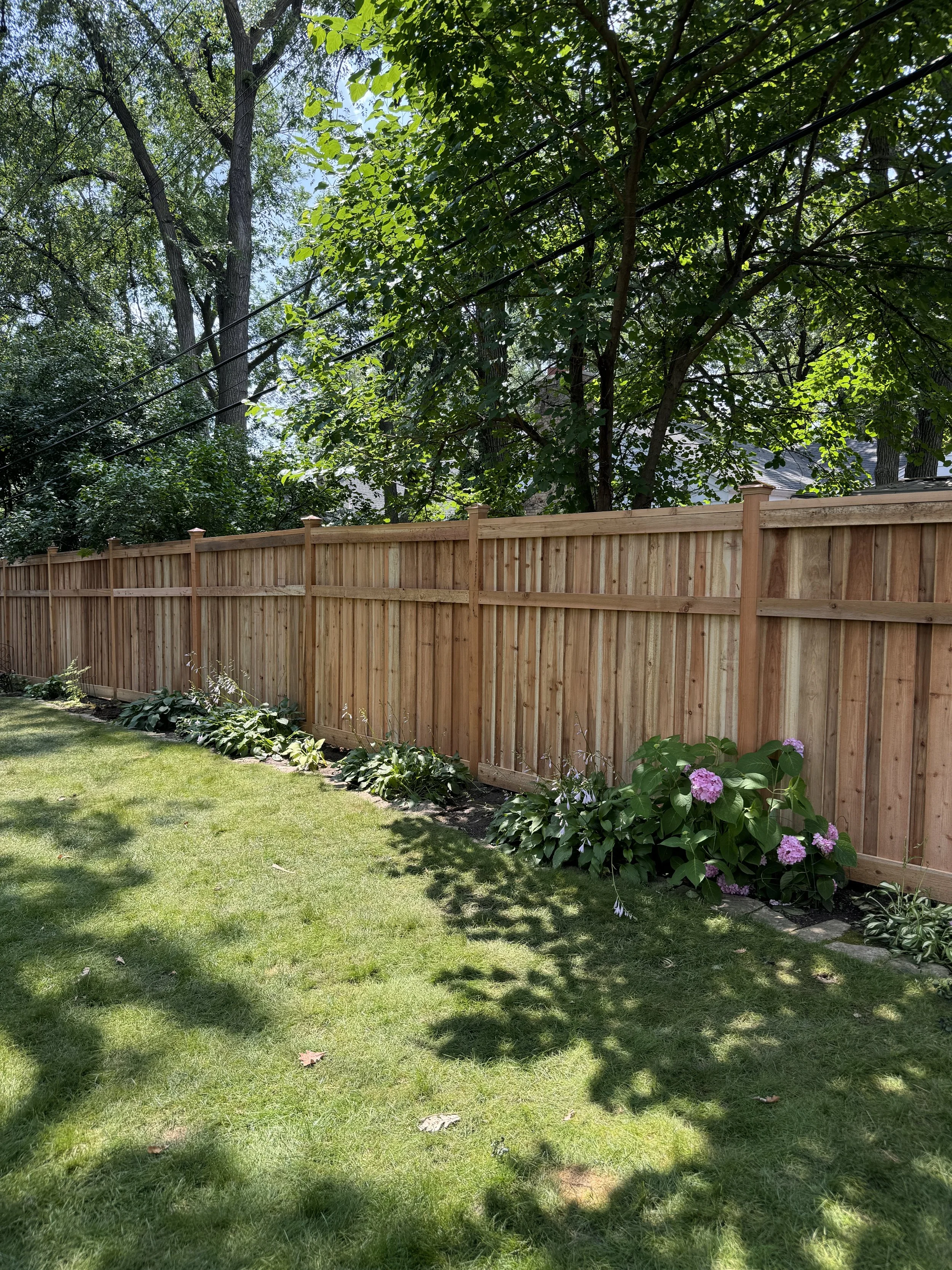 A backyard with green grass and a wooden fence. There are trees with green leaves and some purple hydrangea flowers along the fence line. Shadows of leaves are cast on the grass.