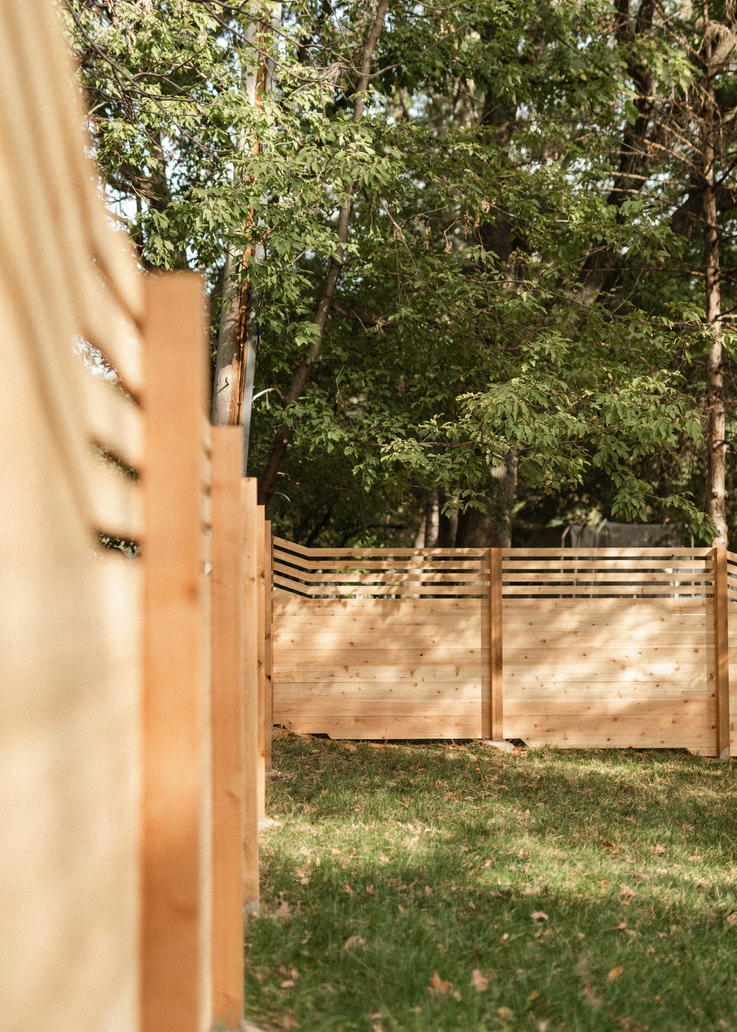 A wooden fence with horizontal slats in a backyard, green grass, and trees with dense foliage in the background, viewed from the side of a house.