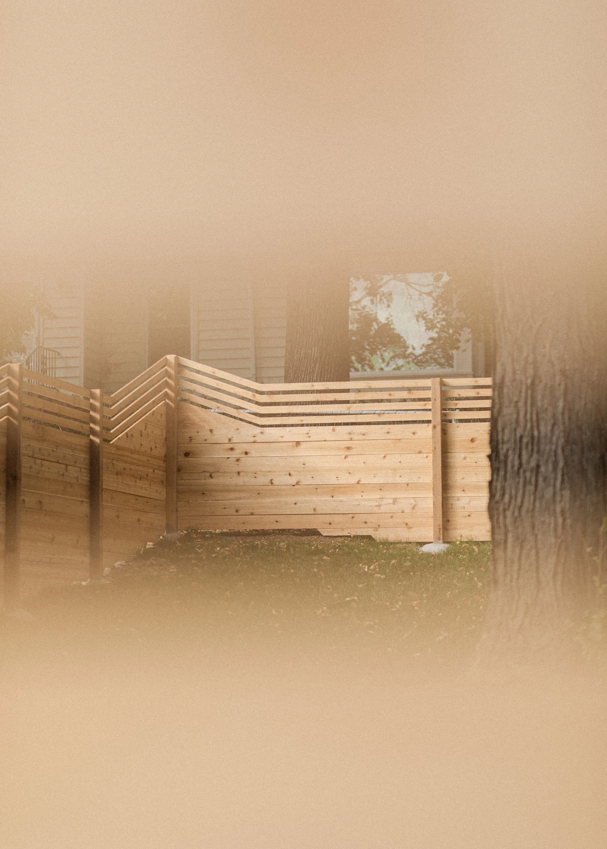 A wooden fence with a tree trunk in front of it, and a house with a window in the background, partially obscured by the tree and fence.