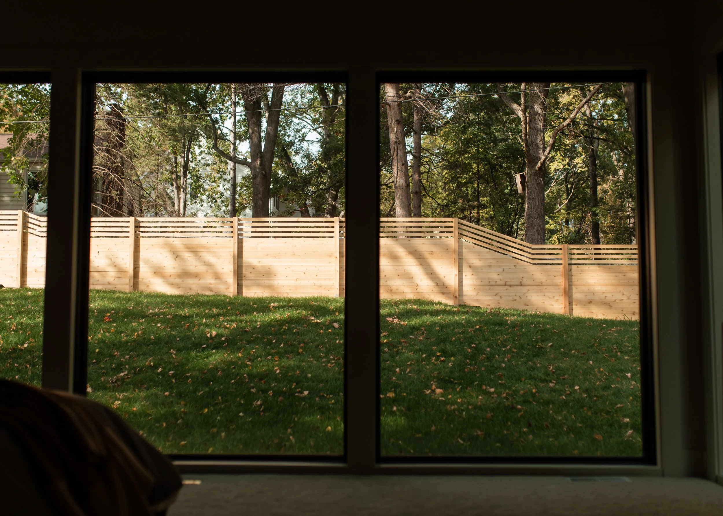 View through a window showing a backyard with a wooden fence, green grass, and tall trees.
