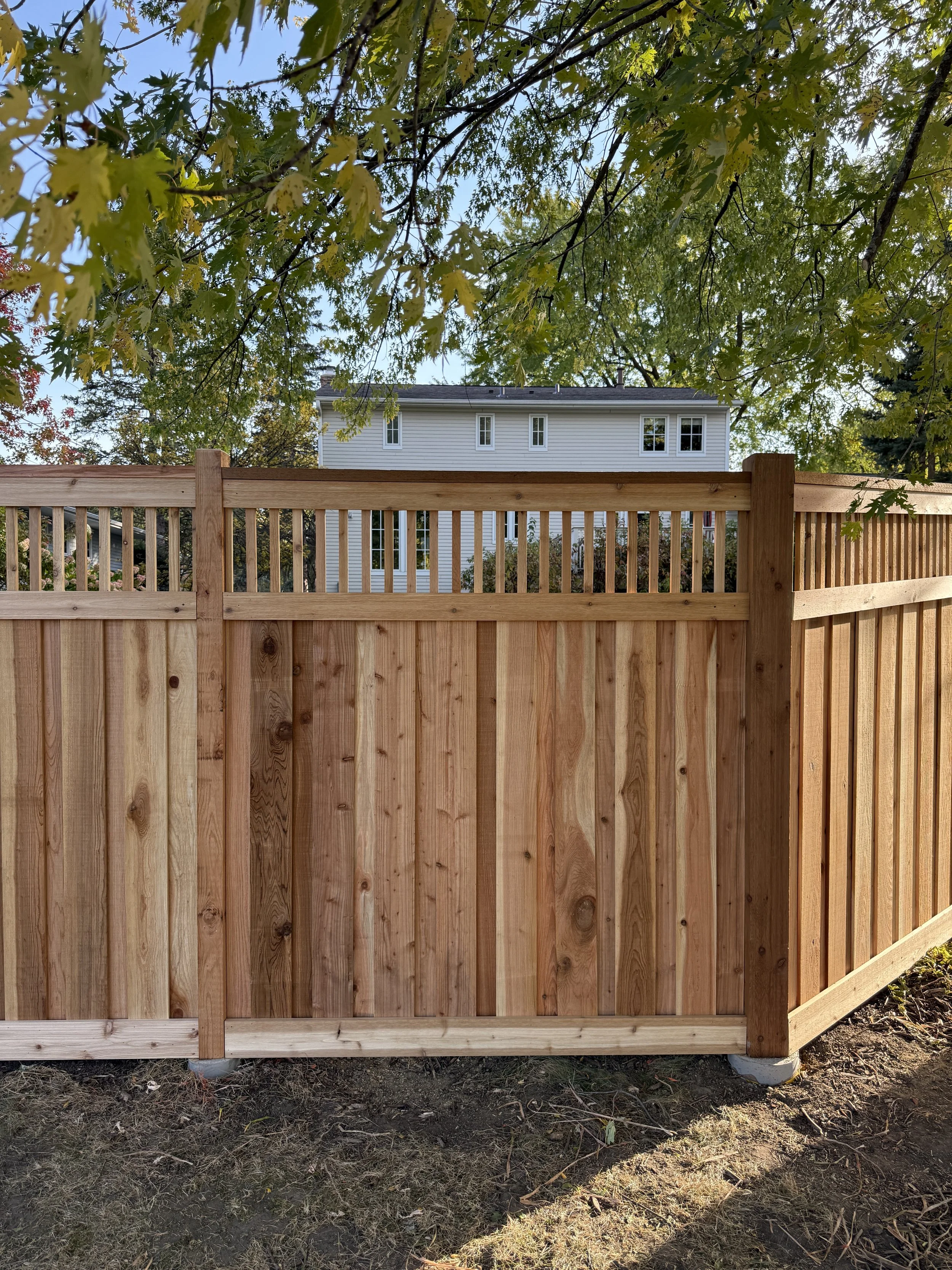 A wooden privacy fence with vertical slats stands in front of a two-story white house with multiple windows. Overhead, green leaves from a tree partially shade the scene, and the ground in front of the fence is dirt with some grass and twigs.