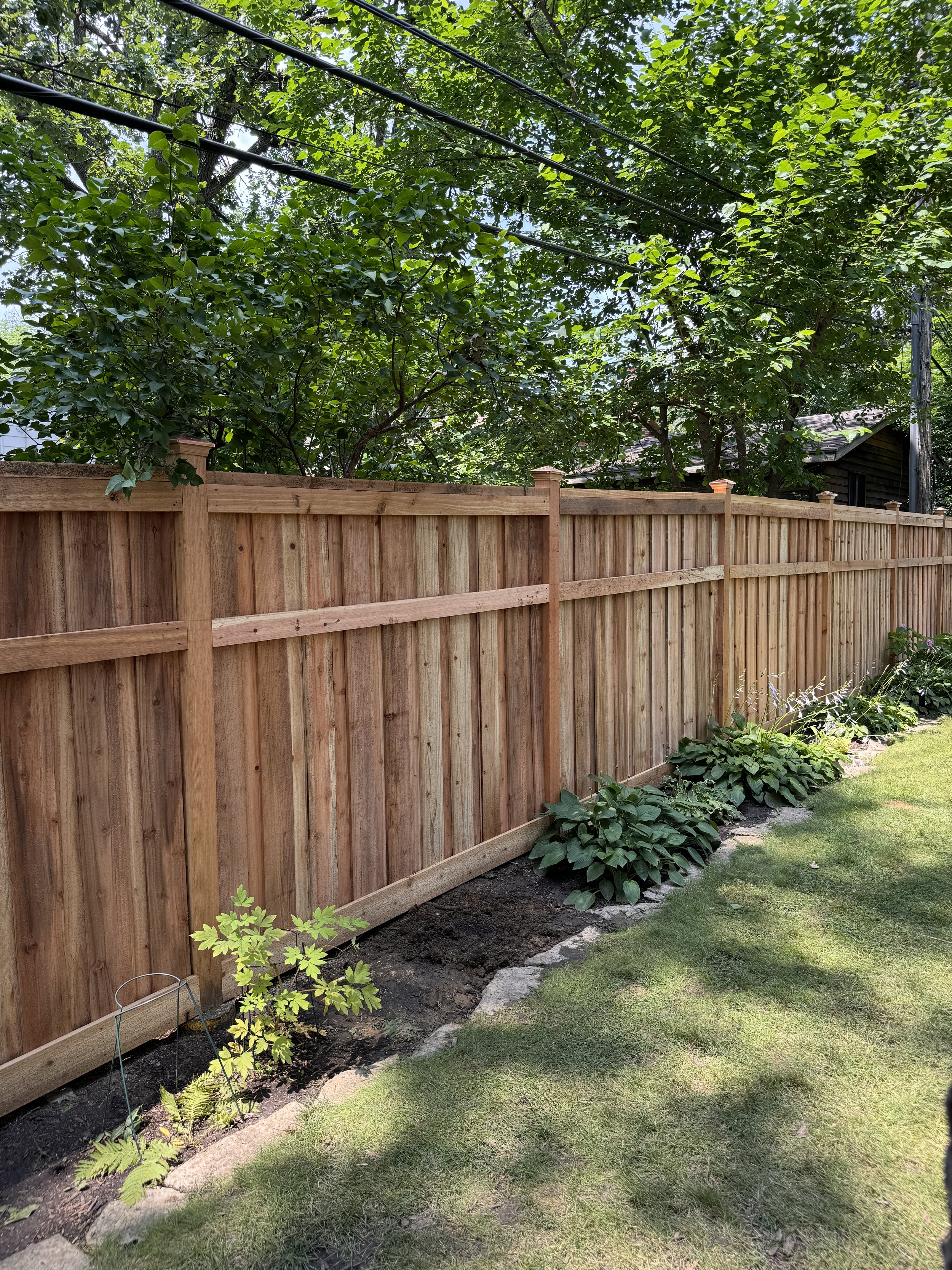 A newly built wooden fence with a garden bed at its base containing newly planted green plants. A mulched garden border separates the lawn from the garden bed, and a large leafy tree provides shade over the fence and plants.