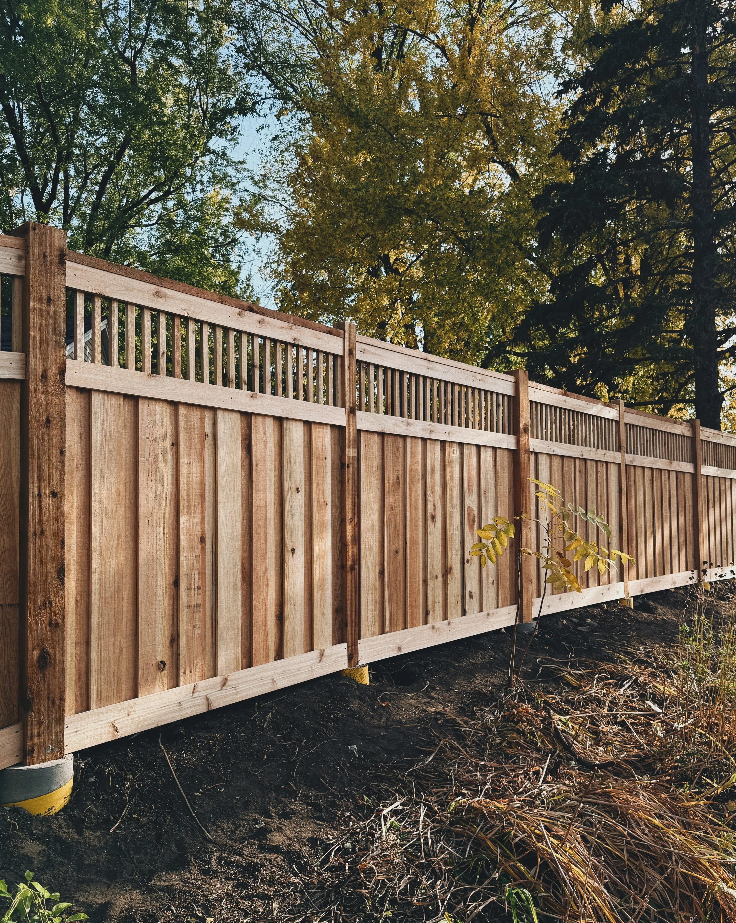 Wooden privacy fence with trees and plants behind it, planted in the ground.