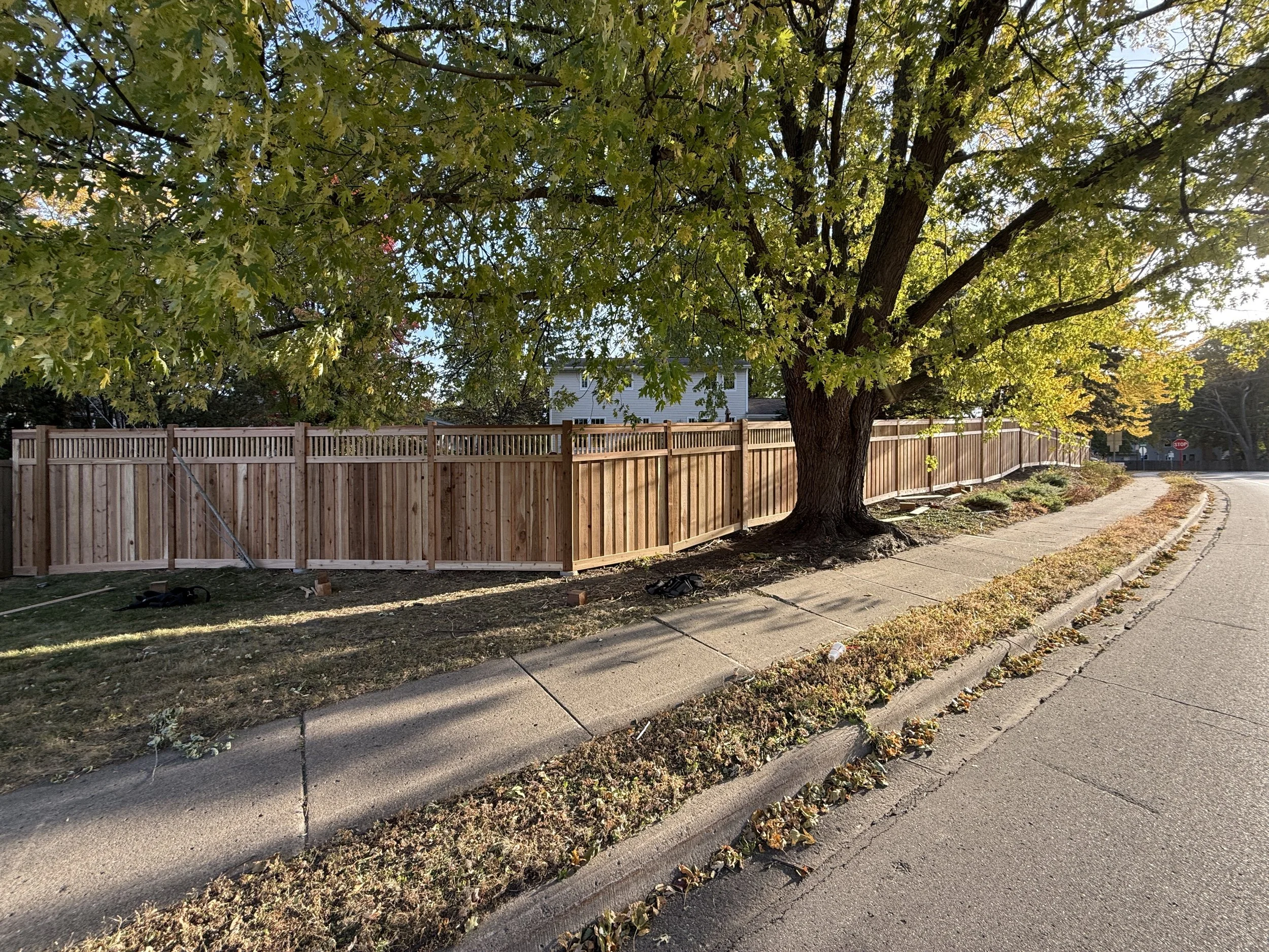 A sidewalk with fallen leaves, a wooden fence, and a large tree with green and yellow leaves. A few houses are visible in the background, along with a street sign and a stop sign nearby.
