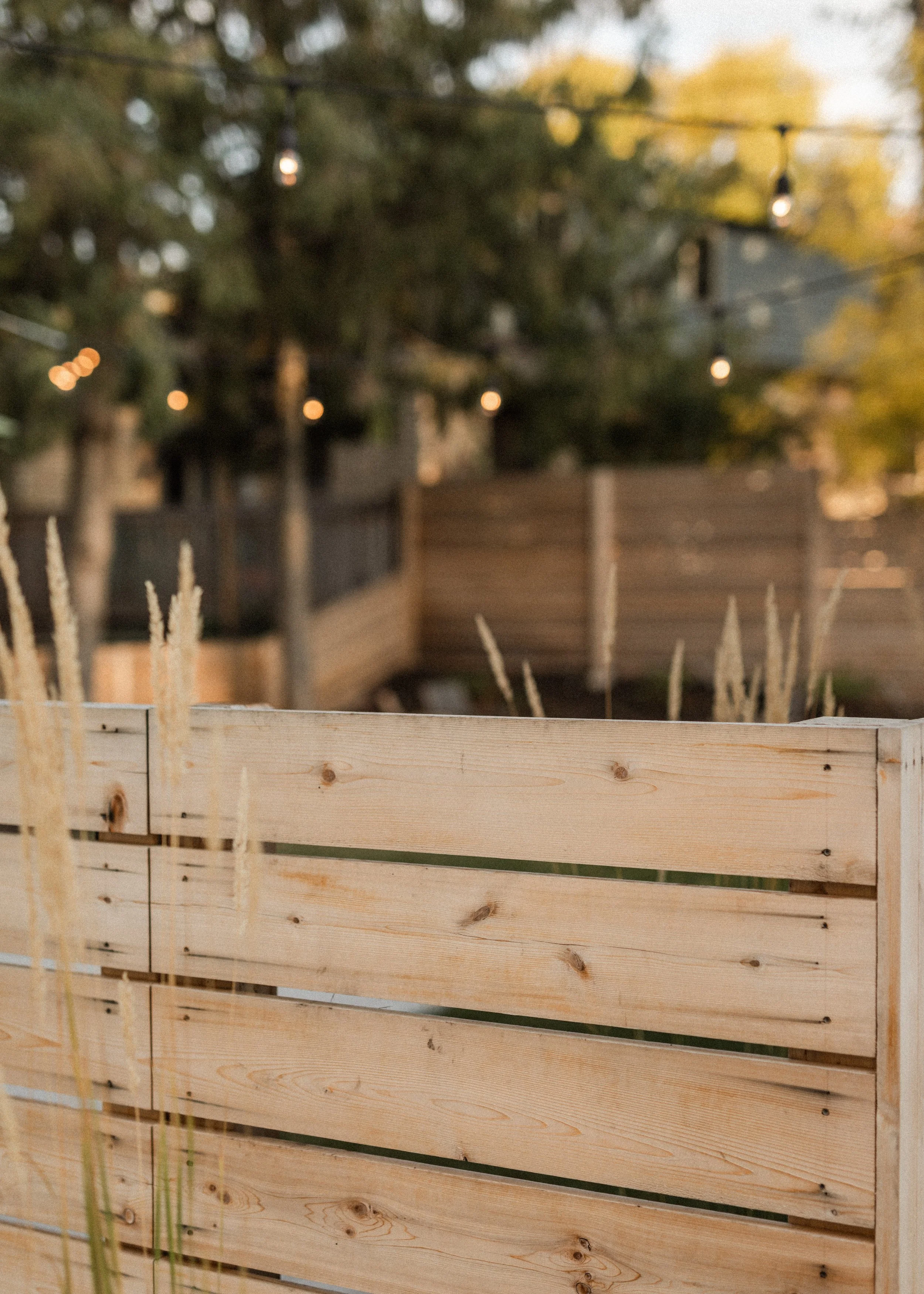 A wooden fence in the foreground with pointed pickets. Behind the fence, there is a blurred background of trees with autumn-colored leaves and string lights hanging across the scene.
