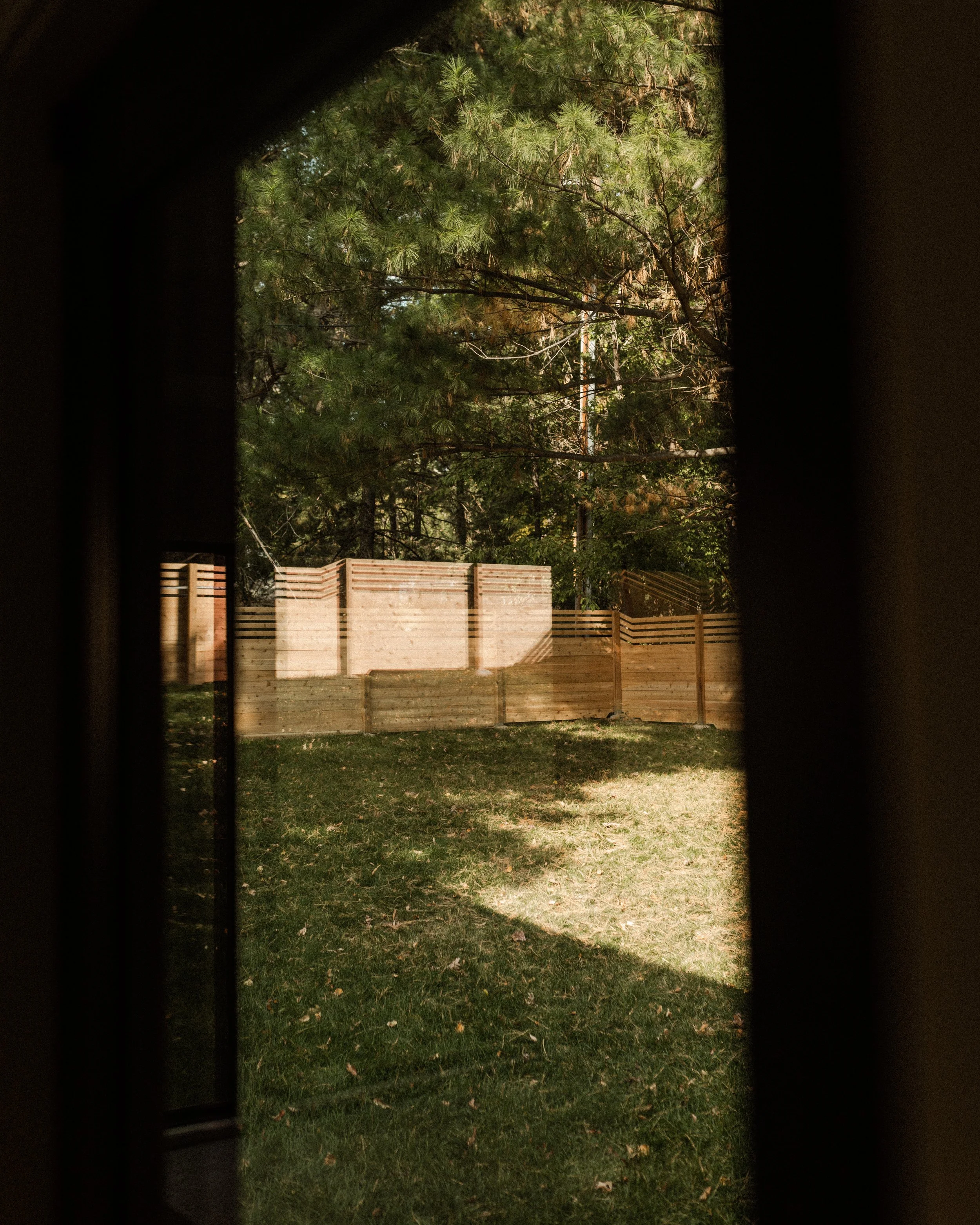 Nighttime view of a backyard with trees, a wooden fence, and a grassy area, seen through a small window or gap.