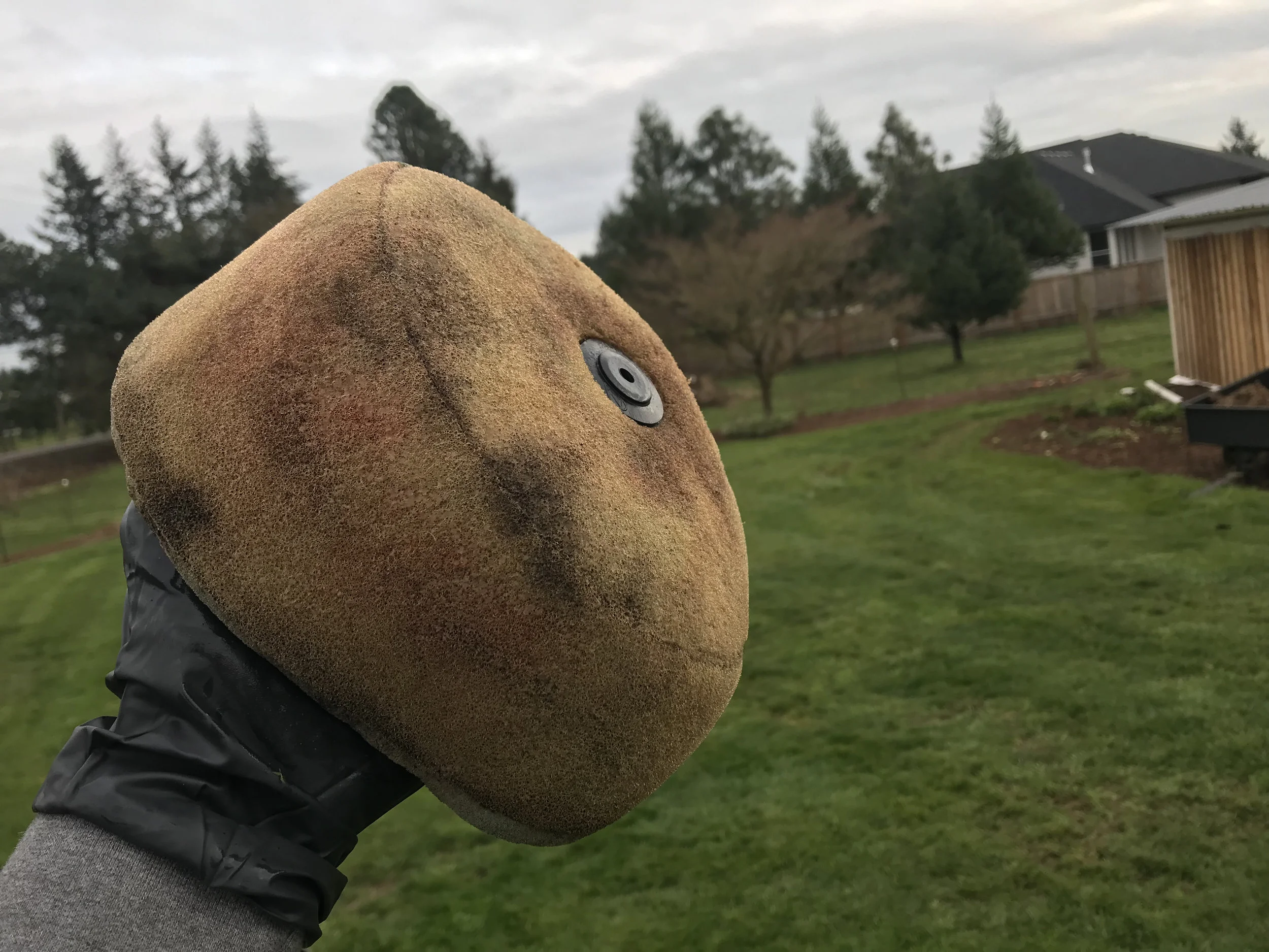 Air Filter.jpg