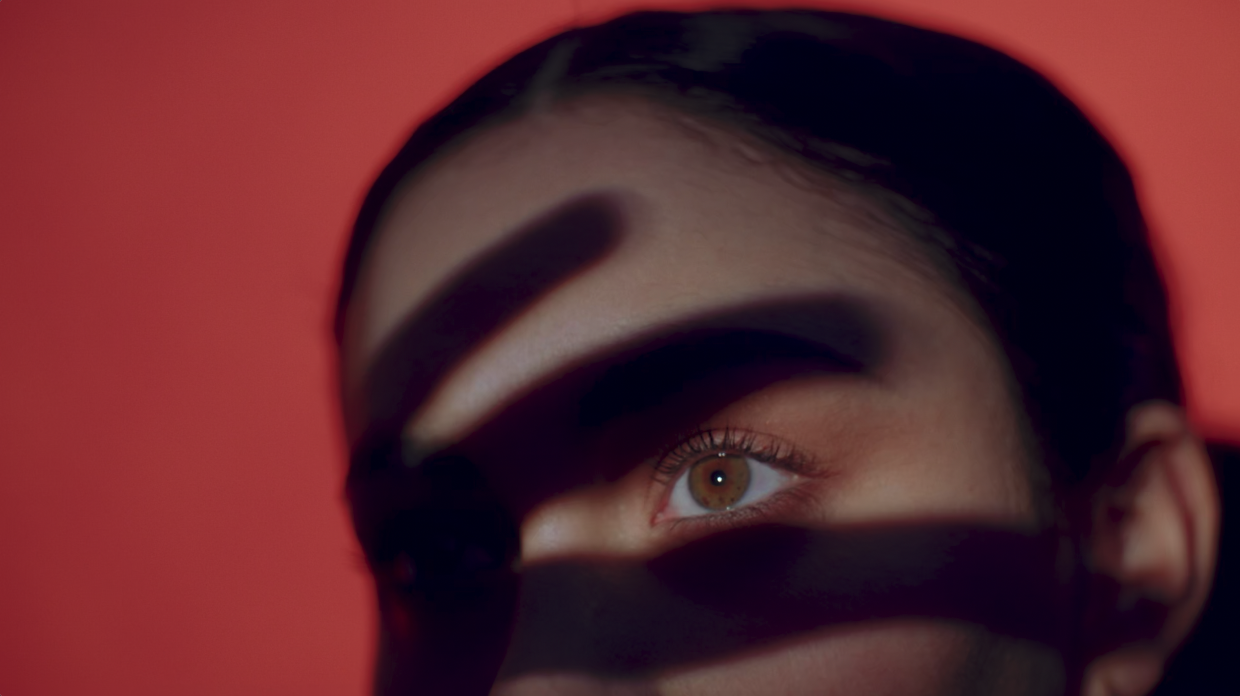 Screenshot 2026-02-12 at 4.51.57 PM.png