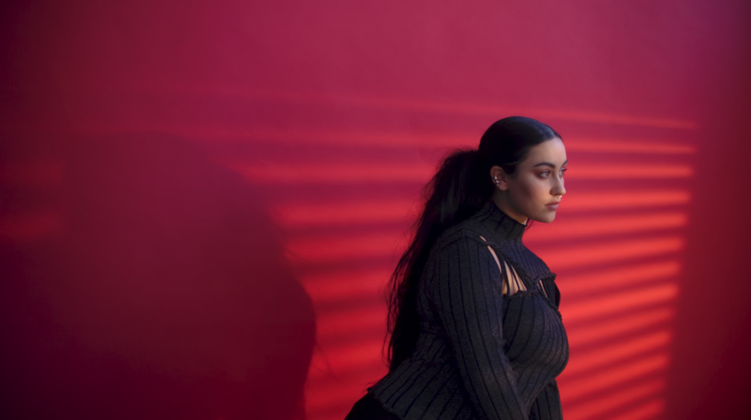 Screenshot 2026-02-12 at 4.54.24 PM.png