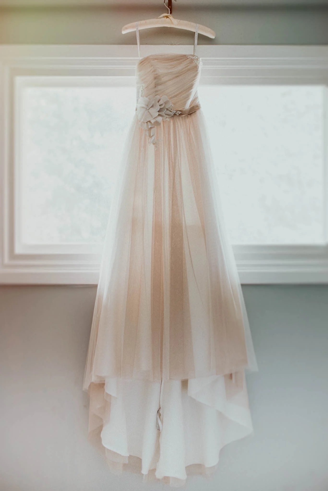 DSC_7331-Edit.jpg