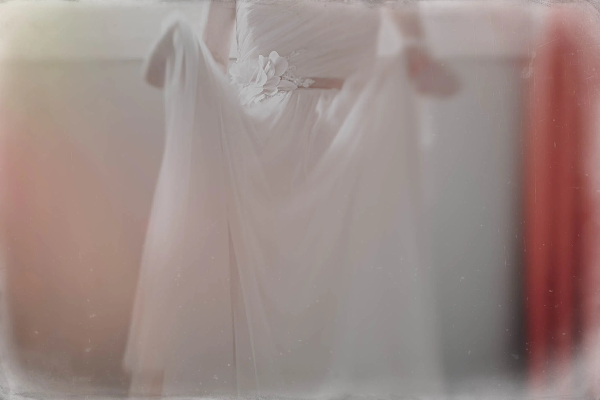 DSC_7355-Edit.jpg