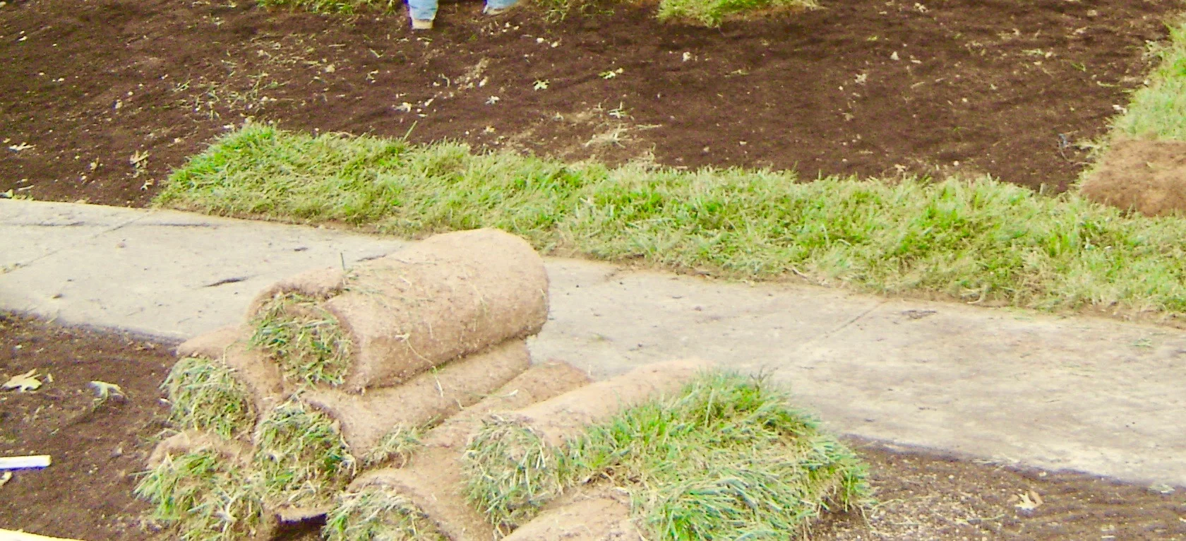 Sod Installation