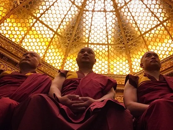 Monks for Selina, for now #veep @veephbo