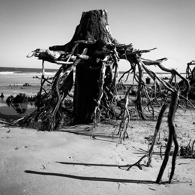 On the beach at Hunting Island, SC
