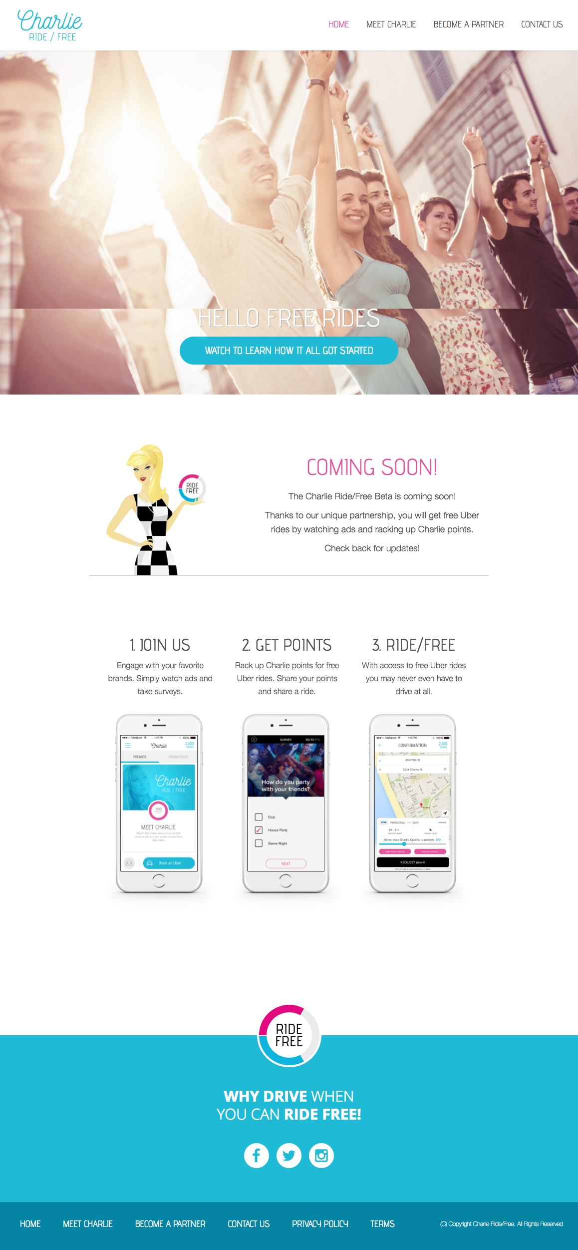 The Website