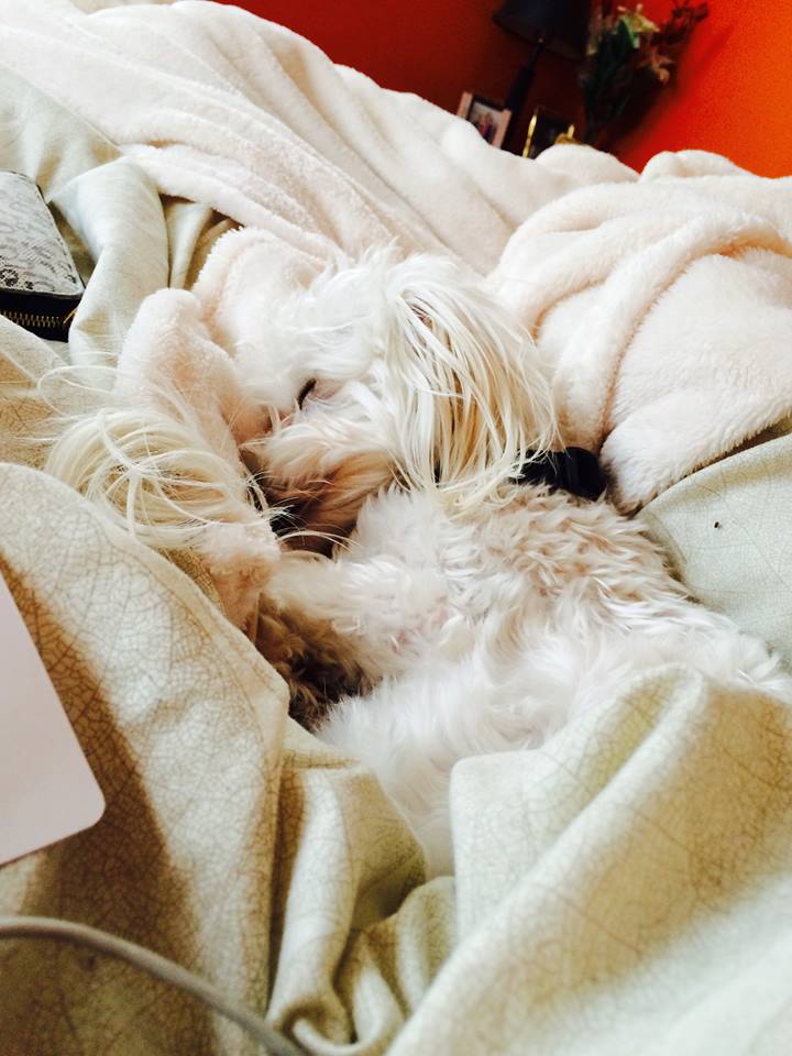 sleeping beauty.jpg