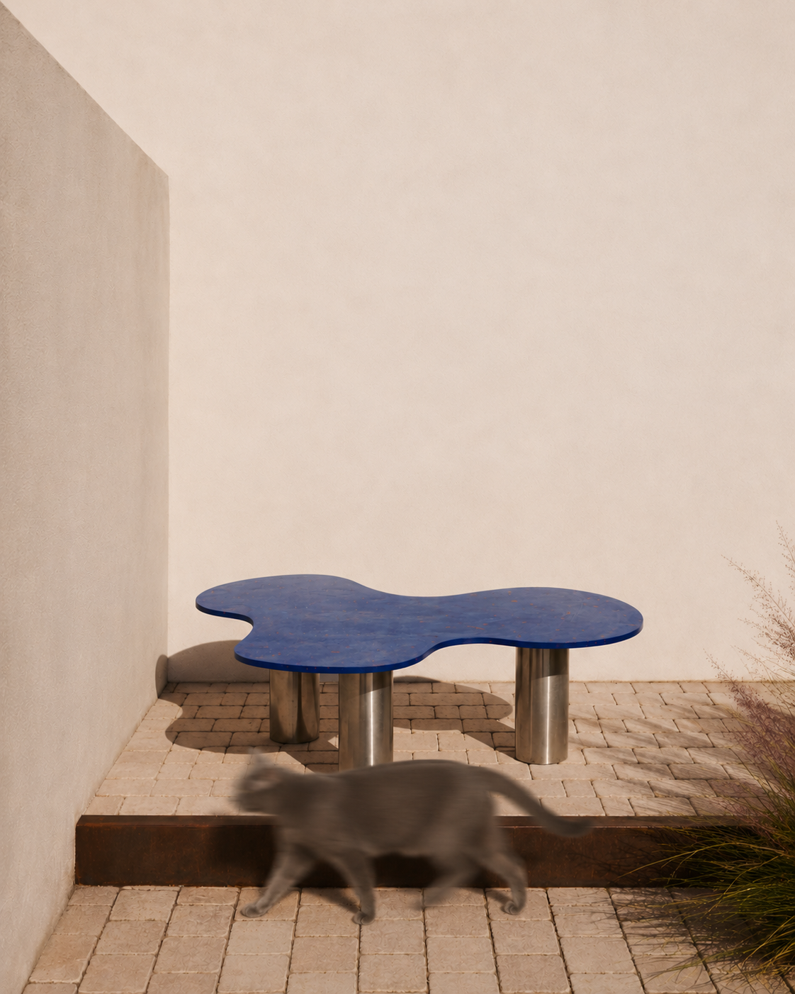 PlasticBlueTable_Cat.png