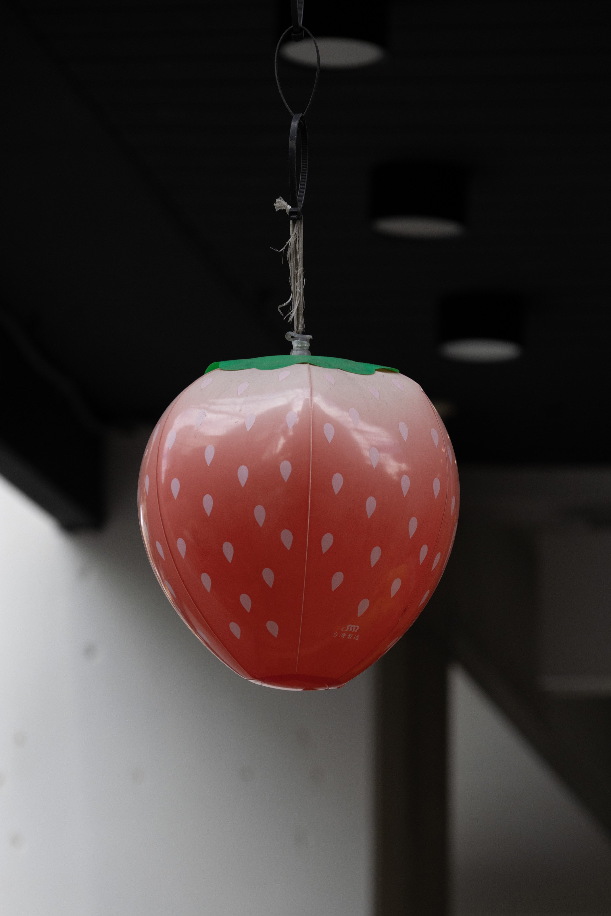 0Y8A8960.jpg