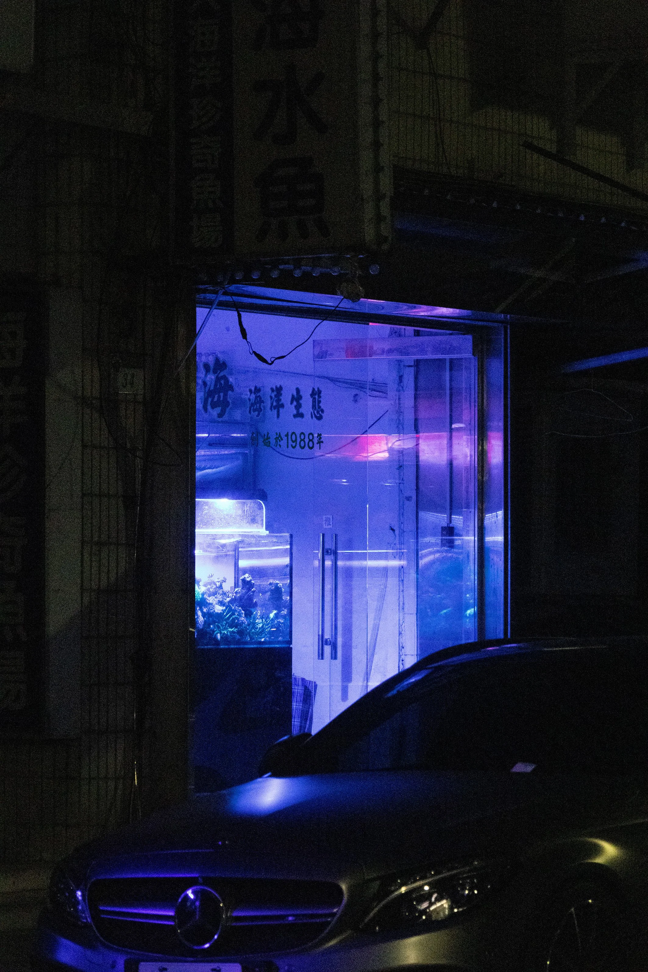 0Y8A0861.jpg