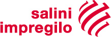 Logo Salini.png