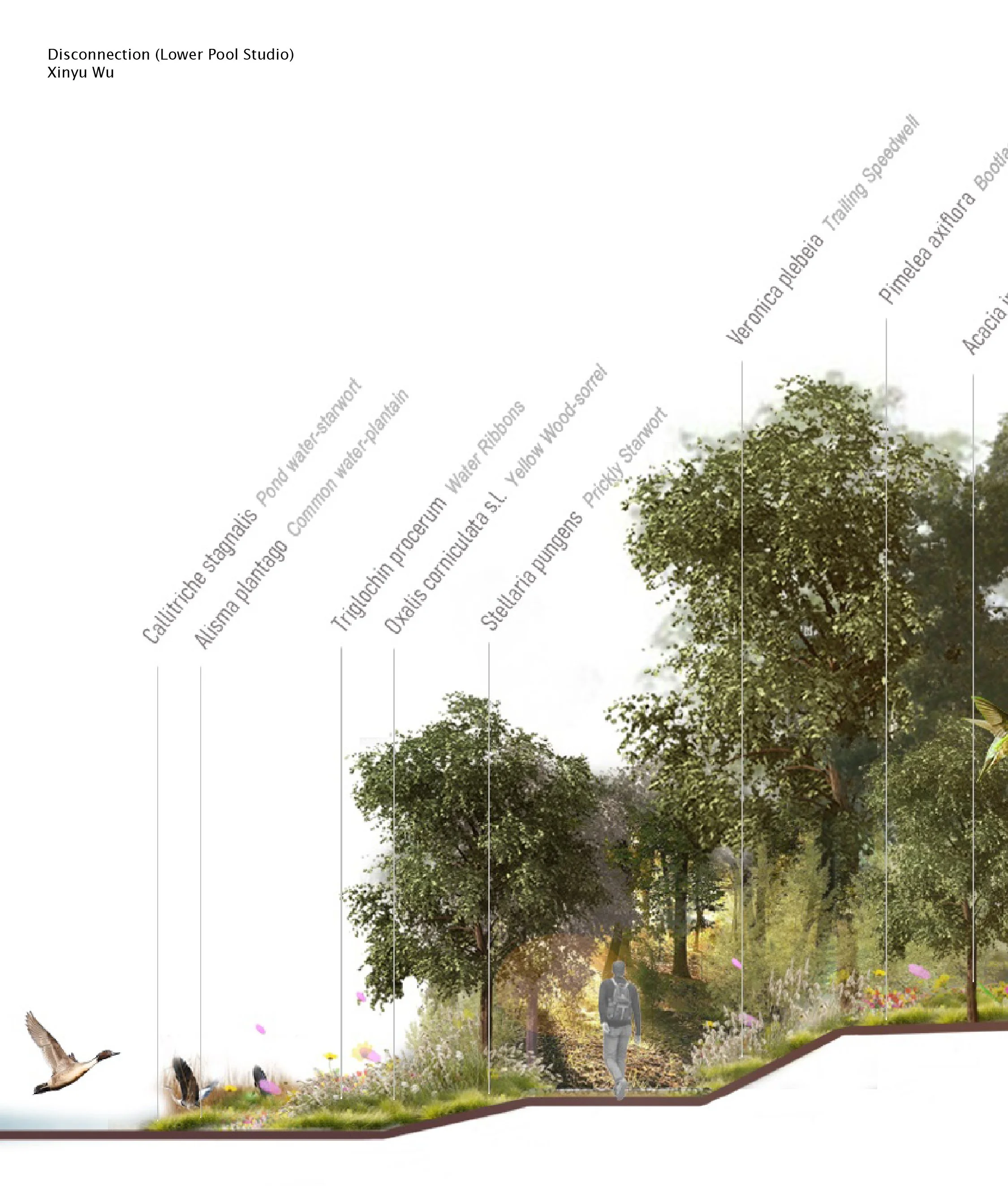 RMIT Landscape Architecture