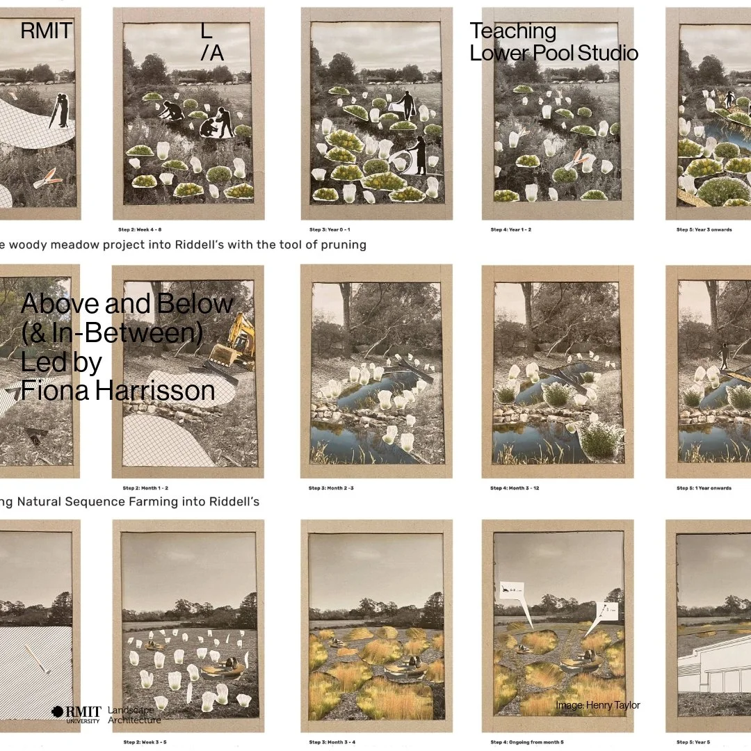 Lower Pool Studio 2025: Above &amp; Below (&amp; In-between)

How can landscape corridors, which support humans and other-than-human occupations, be designed to create alternative patterns of movement within existing settlements?

This studio explore