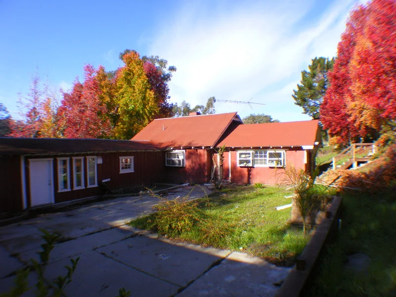 BEFORE Rear Of House.JPG