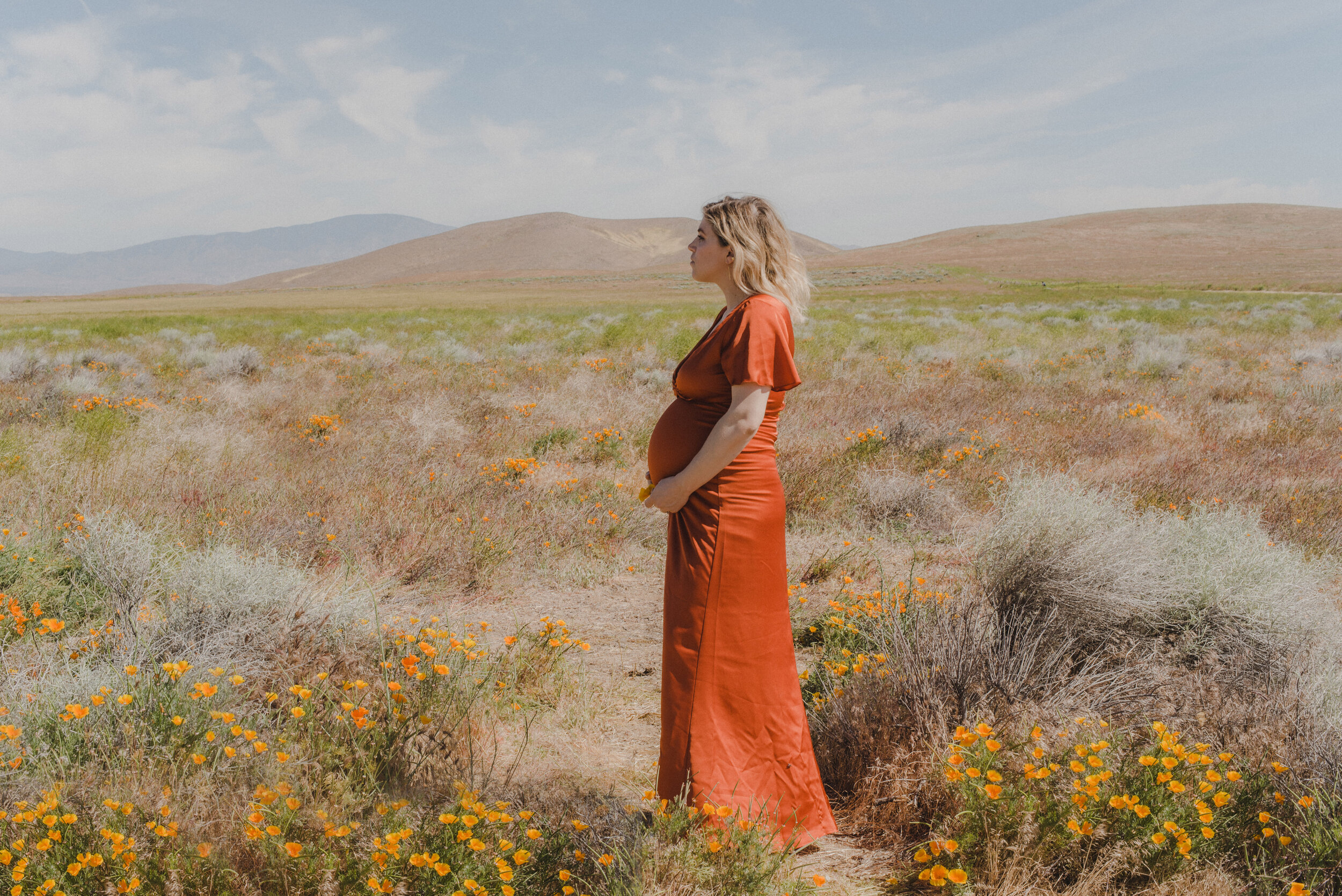 Antelope Valley Poppy Fields | Maternity Photographer