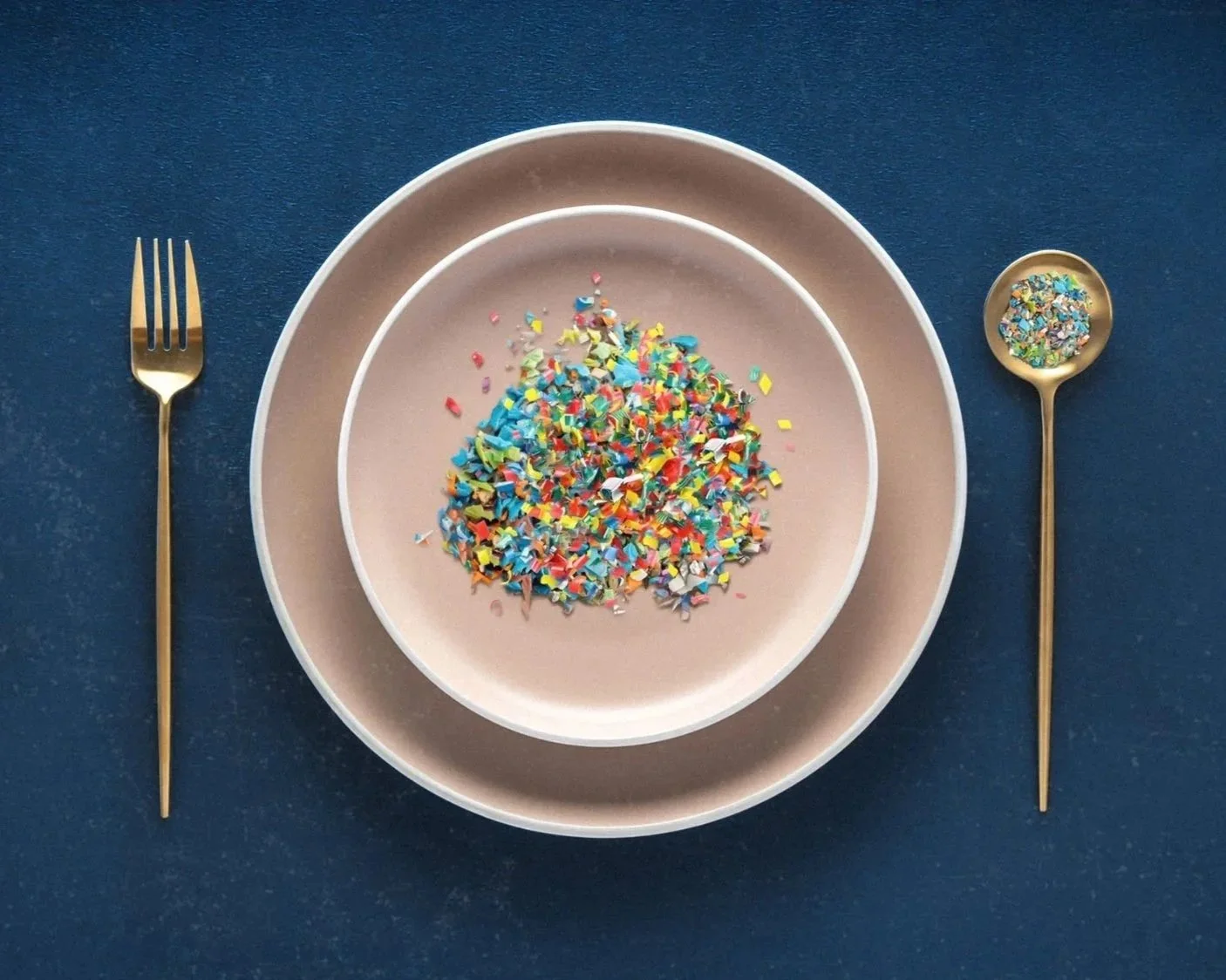The Plastic Detox