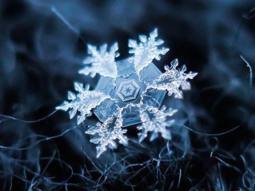 winter.jpeg