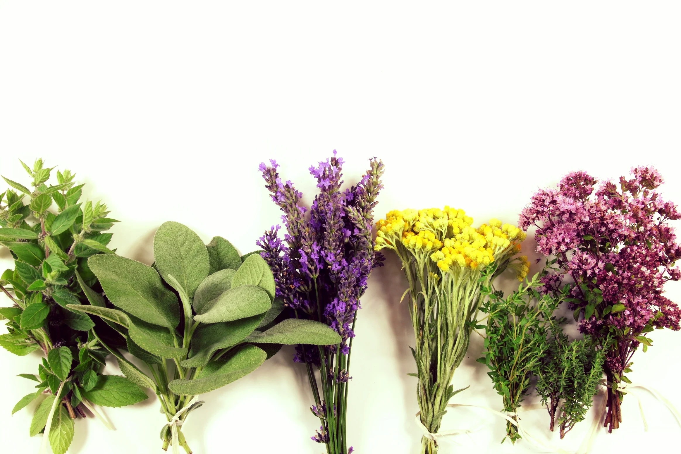 helichrysum-lavender-mint-and-more.jpg