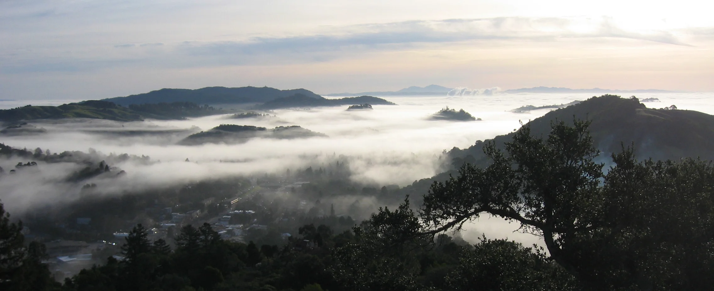 foggy landscape.jpg