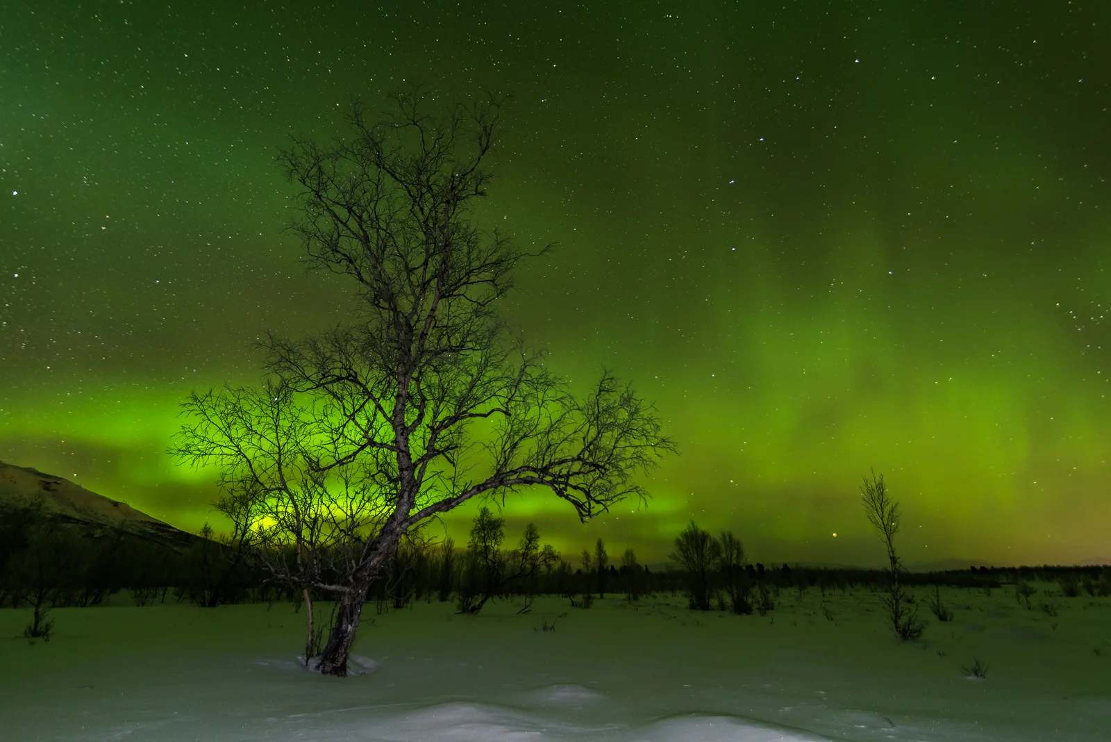 Aurora Borealis
