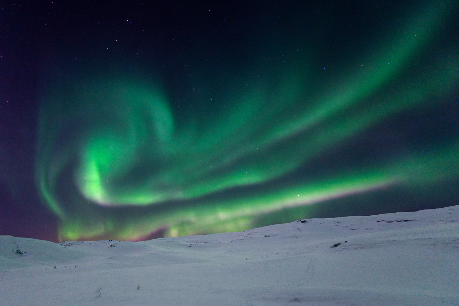 Swirling polar lights at night.