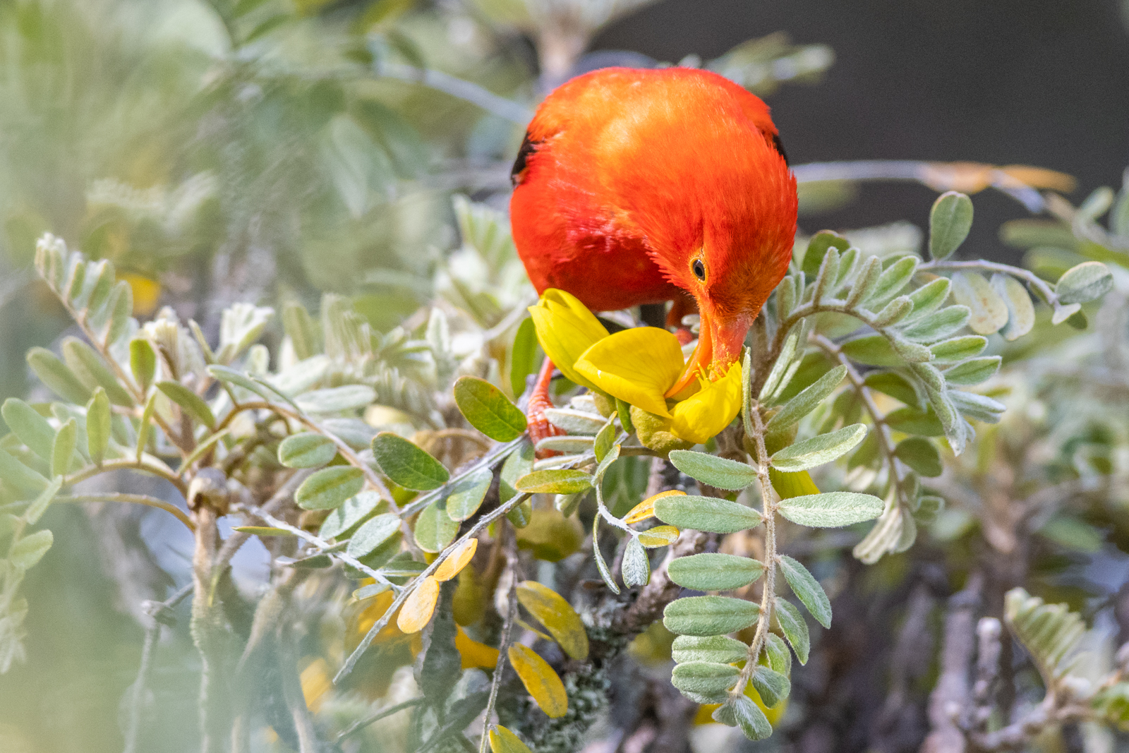 20190519-_DSC0871_1600px.jpg