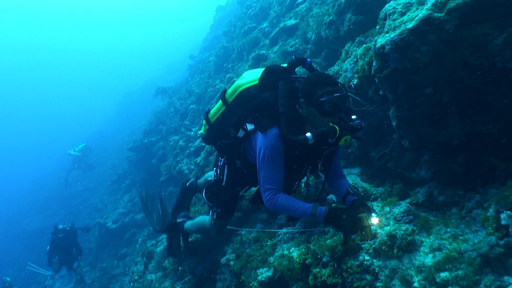 Conducting fish surveys in Ponhpei, Federated States of Micronesia
